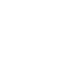 Icon of a white computer chip