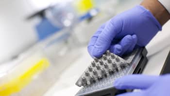 A heat shield being added to a microplate in a laboratory.