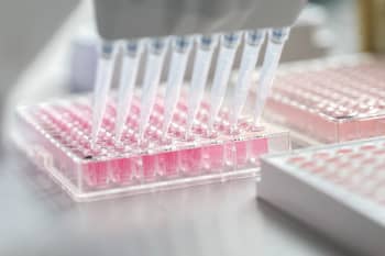 Pipettes being used on a microplate.