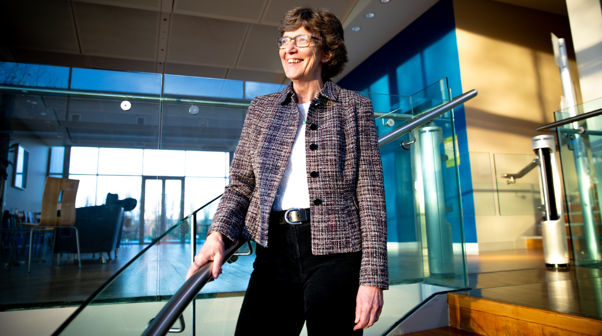 A colourful model of an anatomical heart