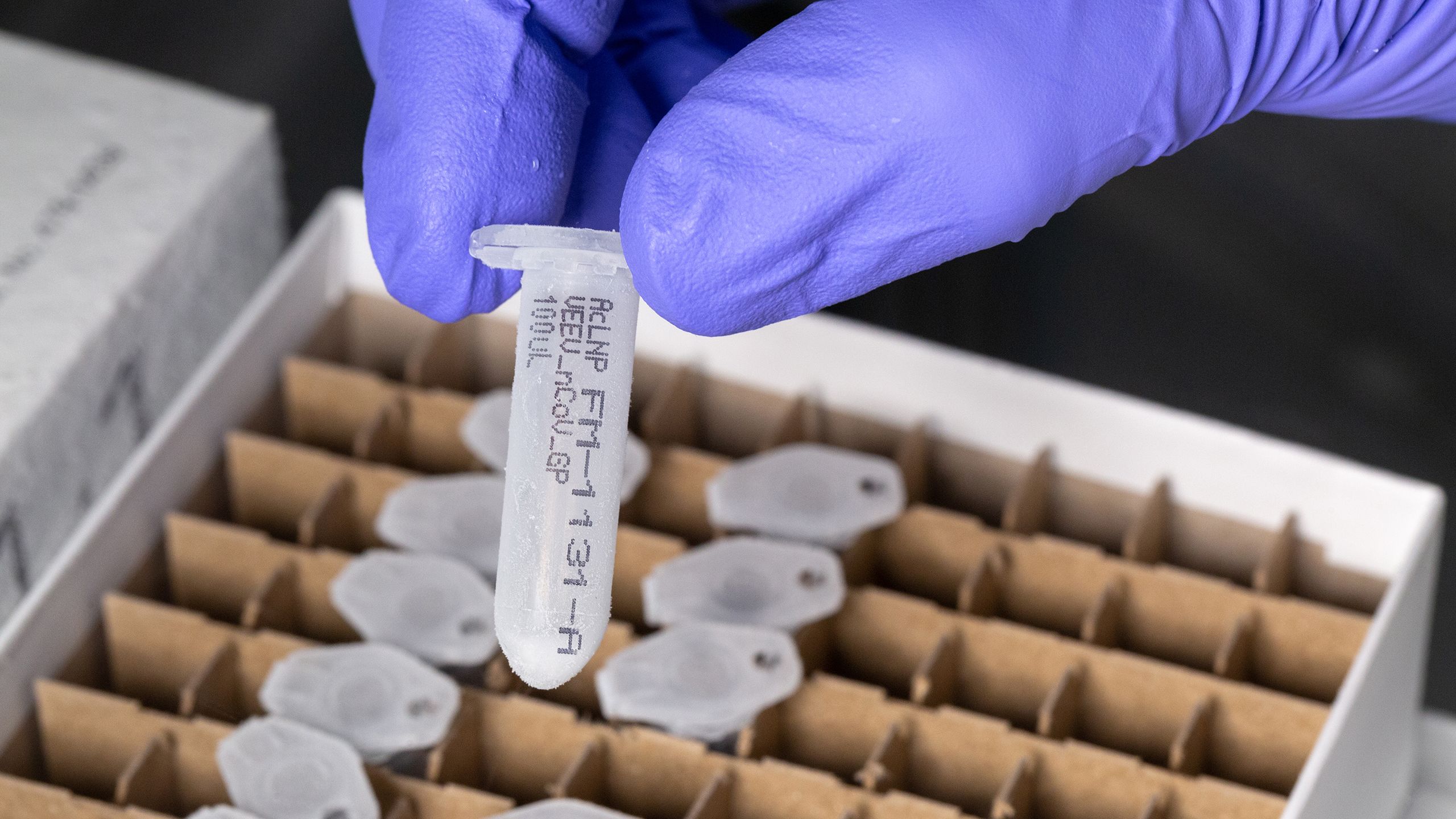 A box filled with vials of the trial vaccine
