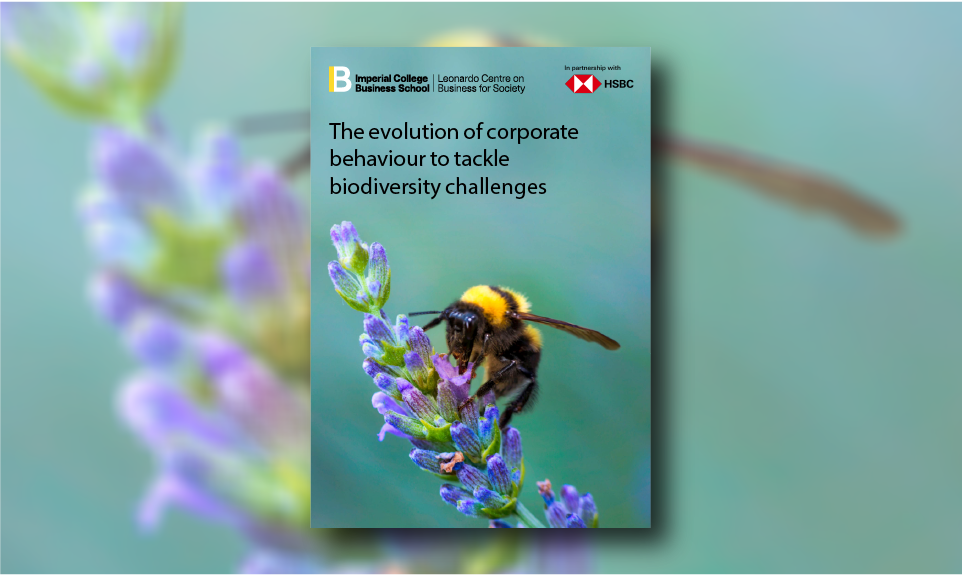 The evolution of corporate behaviour to tackle biodiversity challenges ...