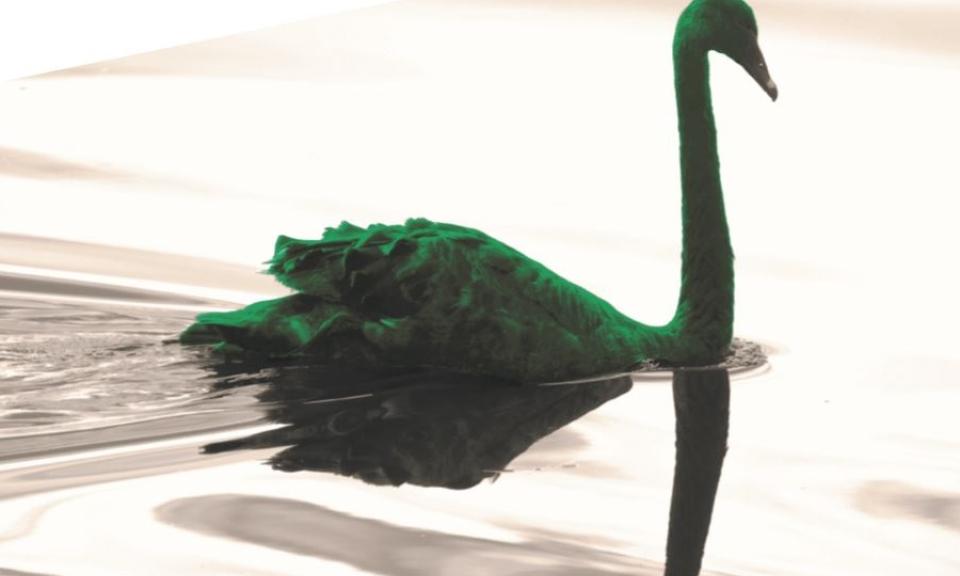 The green swan  Central banking and financial stability in the age of climate change