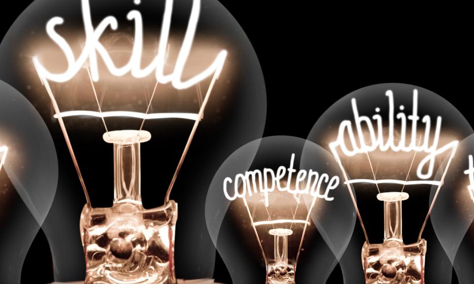 Image of lightbulbs which reads 'skill' 'competence' and 'ability'