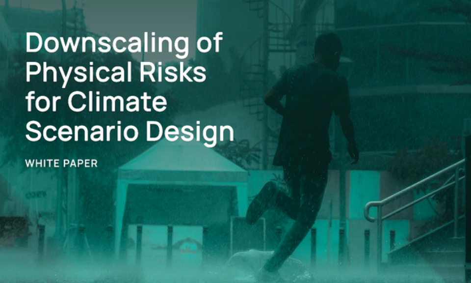 Downscaling of Physical Risks for Climate Scenario Design White Paper