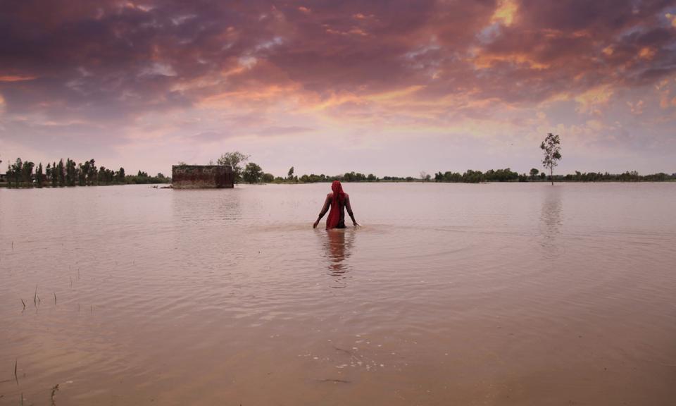 A woman stands in flooded farmland in India