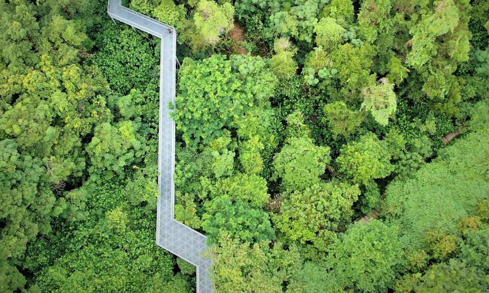 Aerial view of the elevated walkways at Telok Blangah Hill Park in Singapore