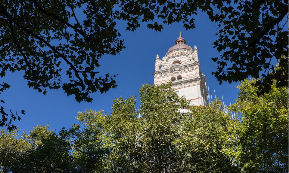 Queen Tower Blog Header