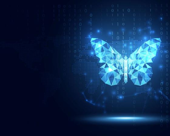 data butterfly