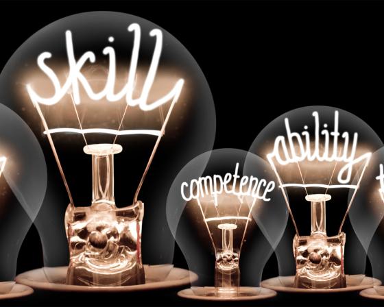 Image of lightbulbs which reads 'skill' 'competence' and 'ability'