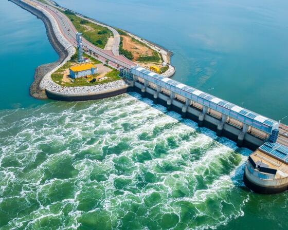 New study challenges ecological fears around tidal power 