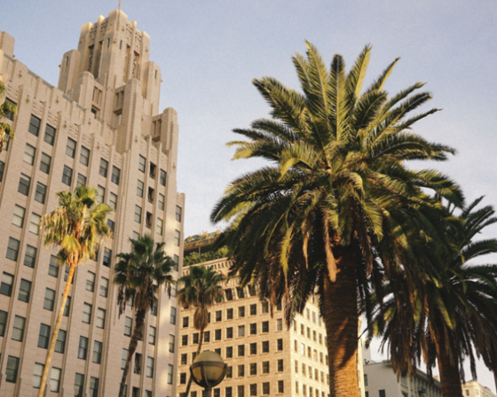 LA