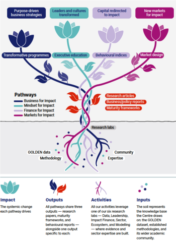 Leonardo Centre's Infographic Theory of Change
