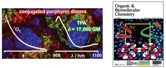 Photodynamic Therapy (PDT)