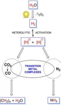 research diagram