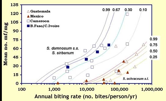 Microfilarial Load