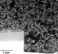 in-situ imaging of deforamtion in equlaxe-dendritic semi-solid Al-ISca
