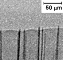 Sn-Cu6Sn5 eutectic front