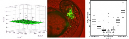 Studying Cell invasiveness