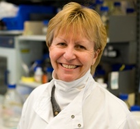 Professor Maggie Dallman