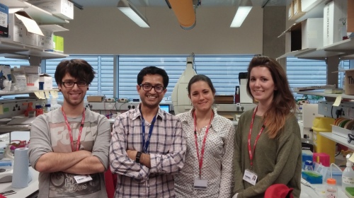 Matthew Eldridge, Avinash, Julia Sanchez, Philippa Goddard (Left to Right)