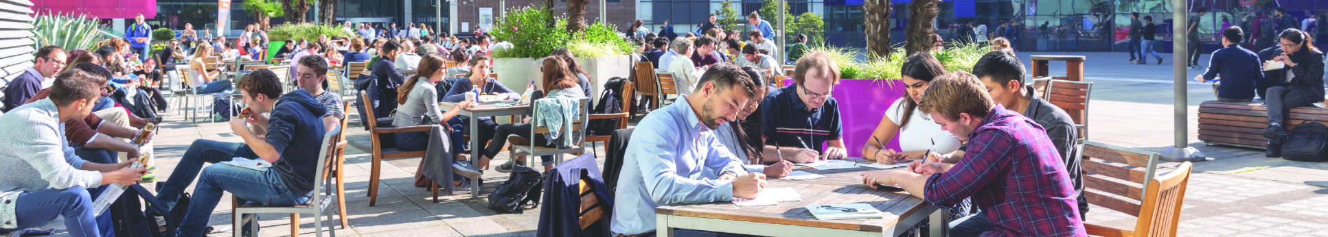 students in dalby court