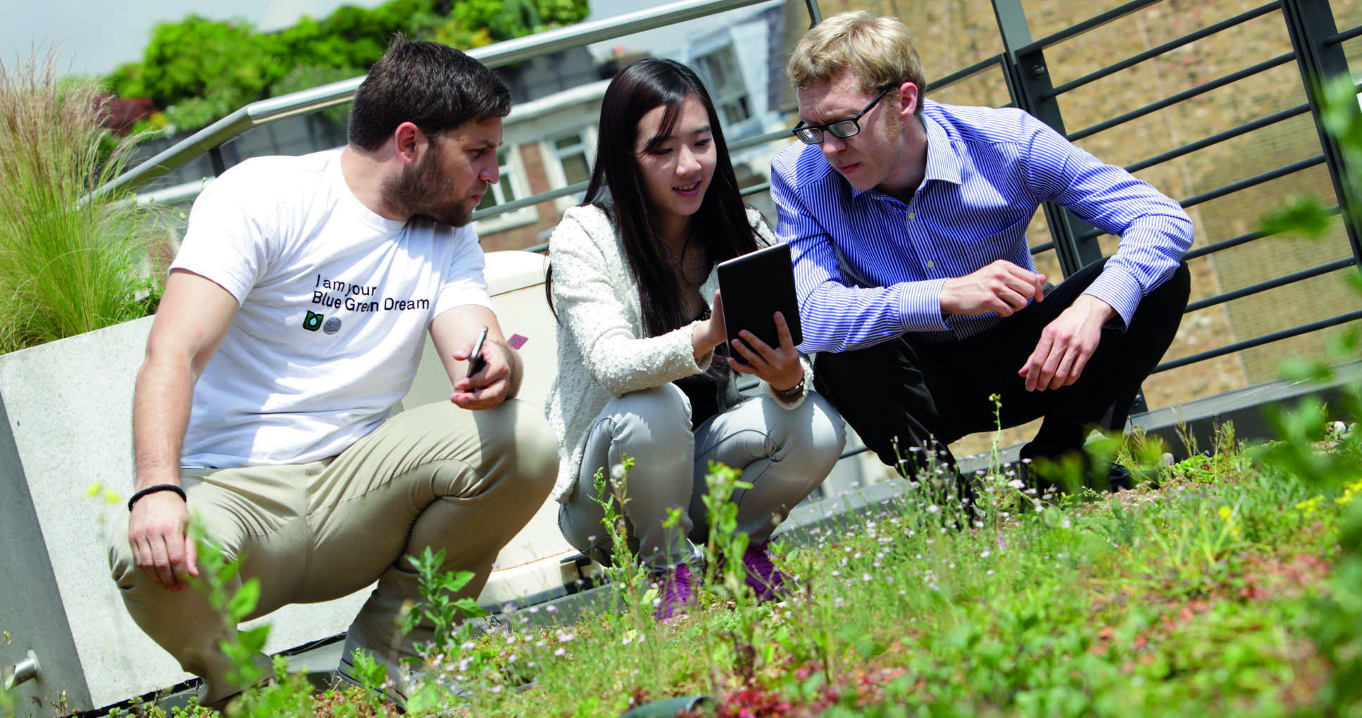 Students on Imperial's green roof