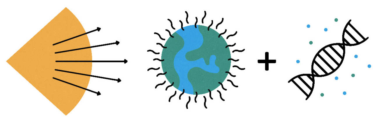 Diagram of the Sun and Earth