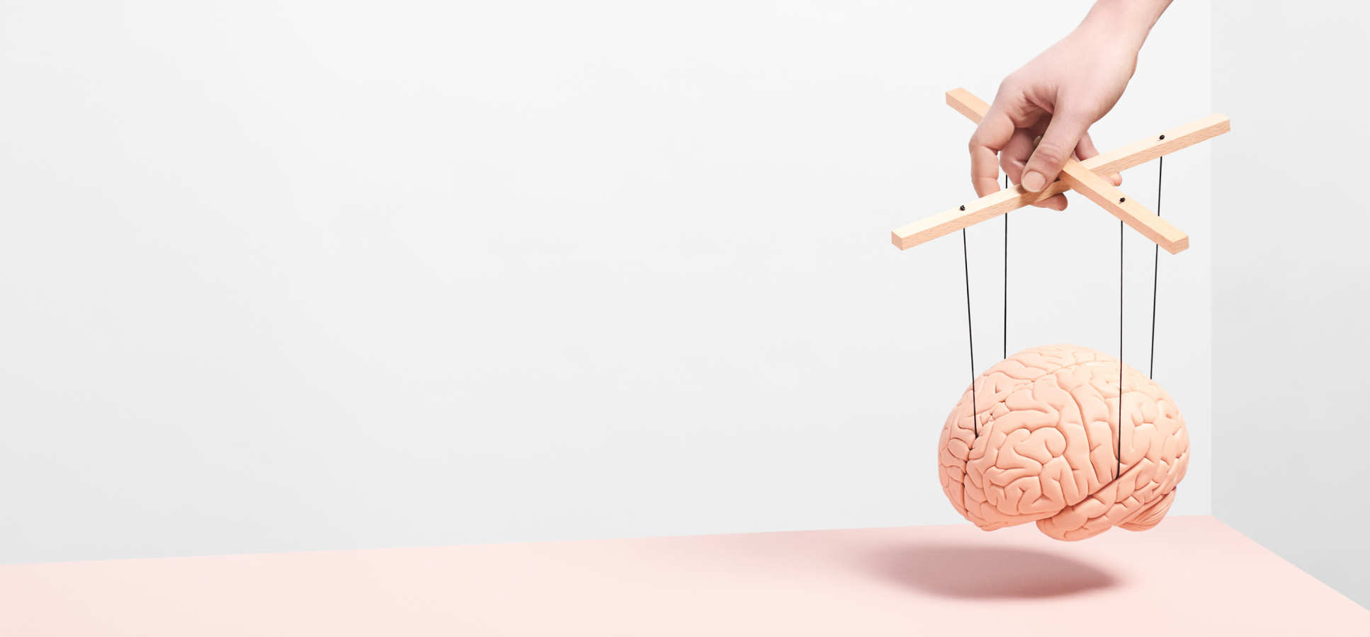 A model of a brain held up on puppet strings