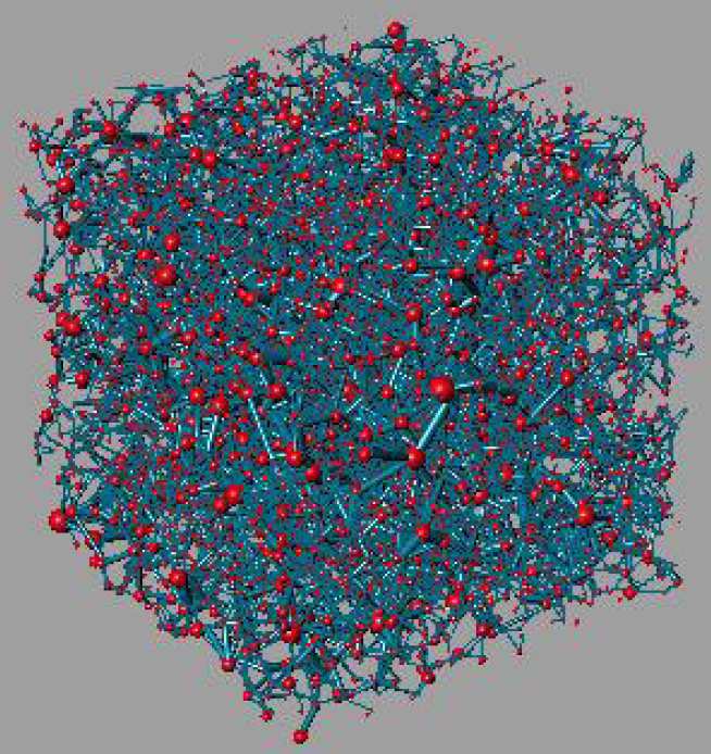 Extracted Network from 3D Section of Micro CT image