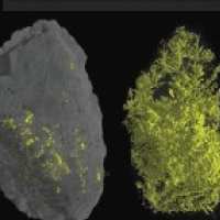 CT scanning of ore mineral distributions in rocks