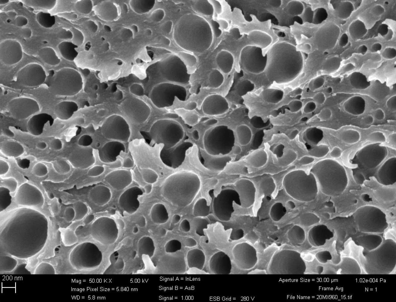 Scanning electron micrograph of fracture surface of fast-curing epoxy toughened with core-shell rubber particles