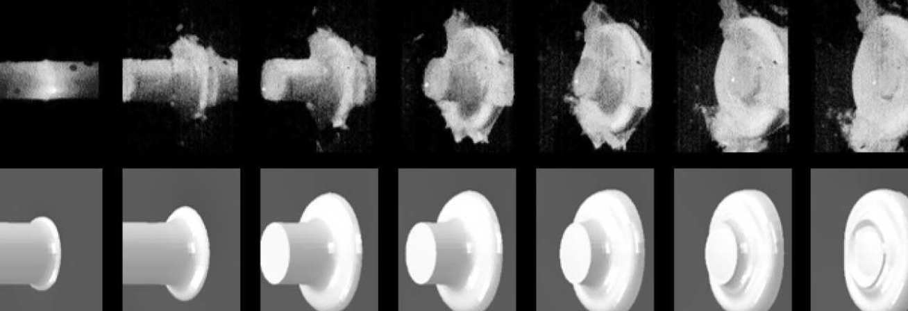 Figure 2: Simulation methods are used to predict the bird strike and compared with gas gun experimental gas gun test