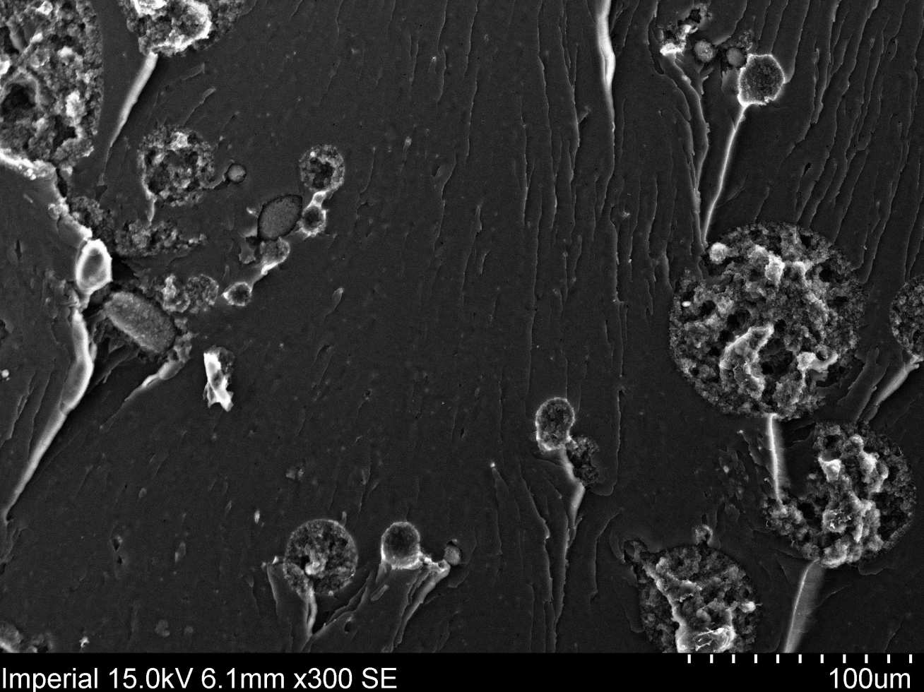 scanning electron microscope (SEM) image of core-shell rubber particles in epoxy