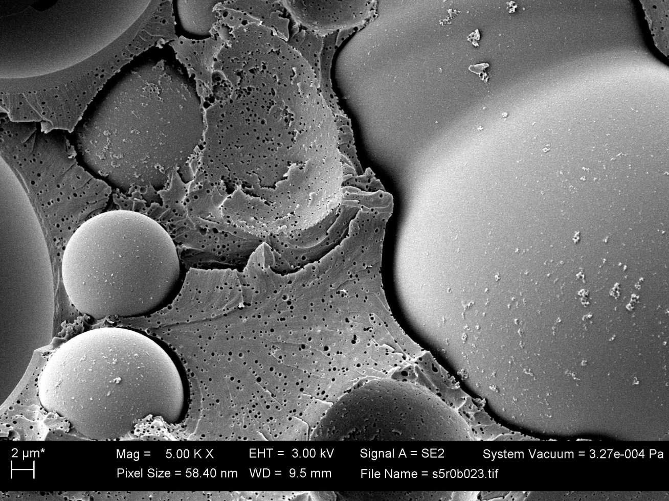Scanning electron microscope image of the fracture surface of syntactic foam with 5 wt% core-shell rubber particle-modified epoxy matrix