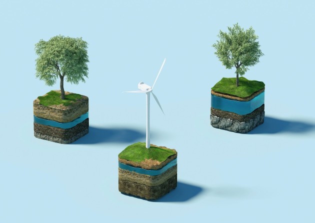 Image of two trees and a wind turbine 