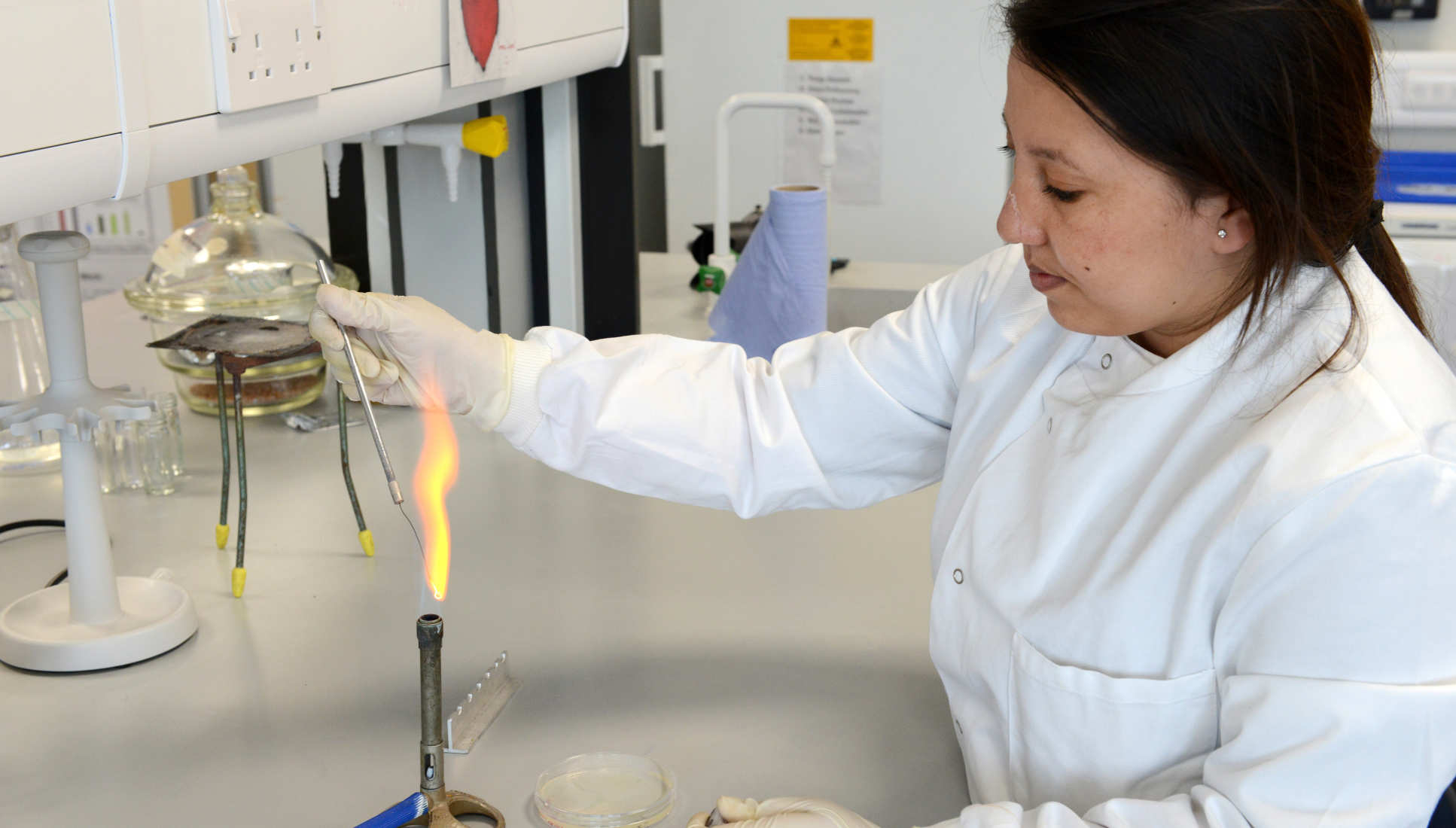 Researcher uses bunsen burner in lab