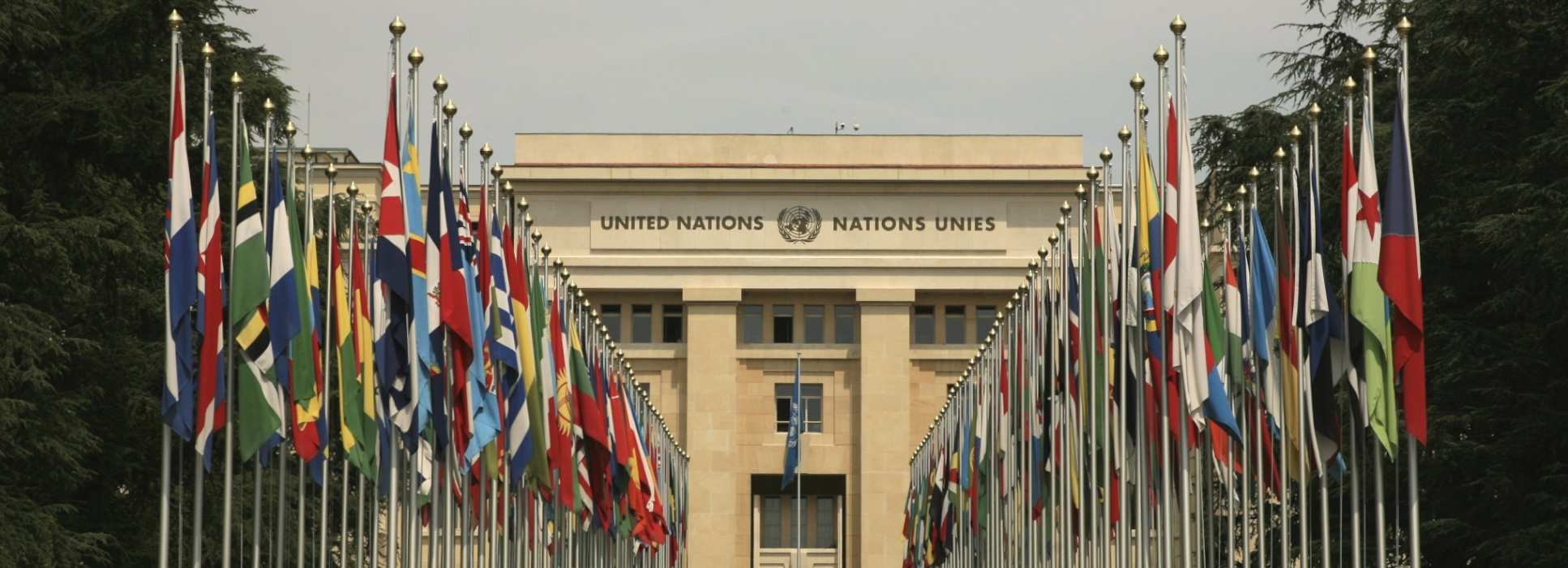 The front of a United Nations building with flags of various nations
