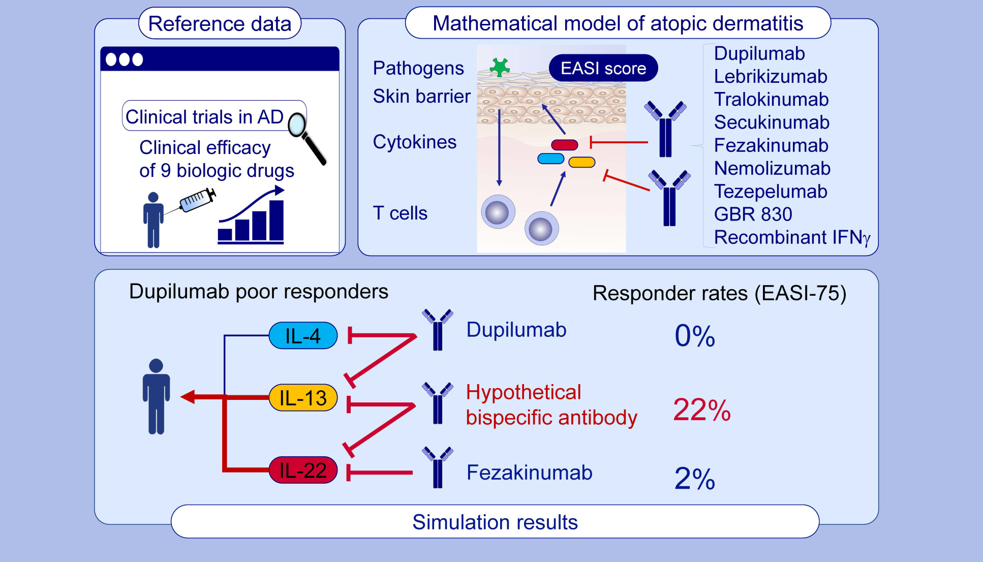 Graphic abstract describing A mathematical model to identify optimal combinations of drug targets for dupilumab poor responders in atopic dermatitis
