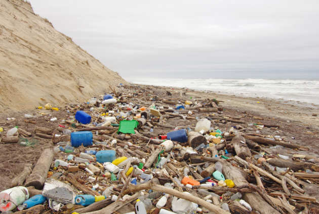 Litter on a beach