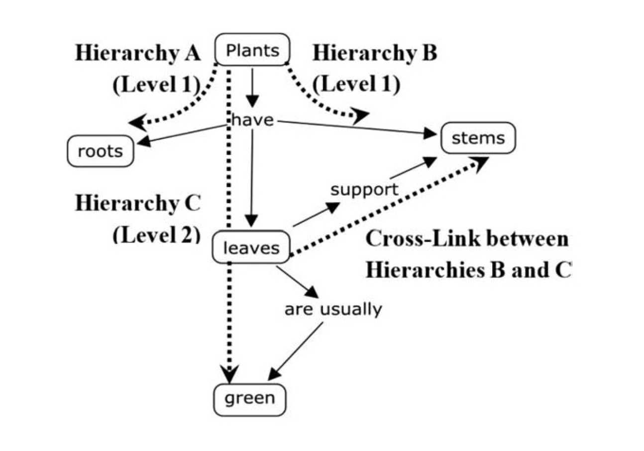 Concept map on plants