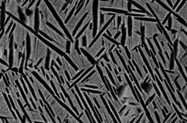 Backscatter electron micrograph of alpha and fine scale secondary alpha in titanium