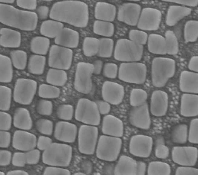   Desired microstructure of a Co-base superalloy with cuboidal secondary and small round ternary γ' precipitates in a γ matrix.