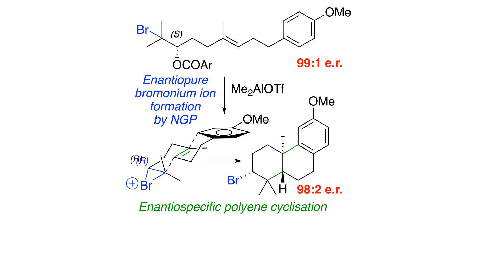 Summary scheme for paper: An Enantiospecific Polyene Cyclisation Initiated by an Enantiomerically Pure Bromonium Ion