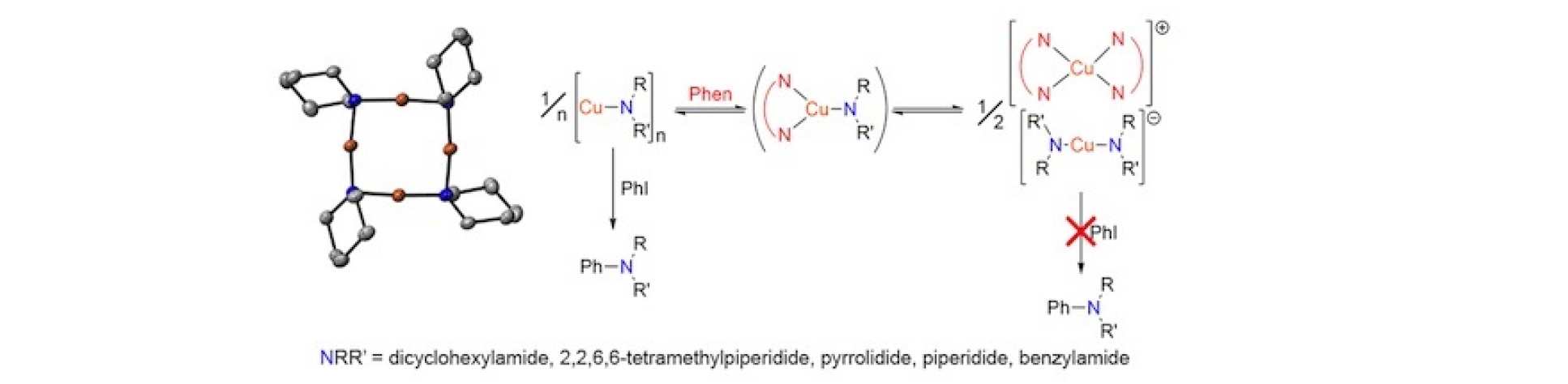 Summary scheme for paper: Synthesis, Characterisation and Reactivity of Copper(I) Amide Complexes and Studies on Their Role in the Modified Ullmann Amination Reaction