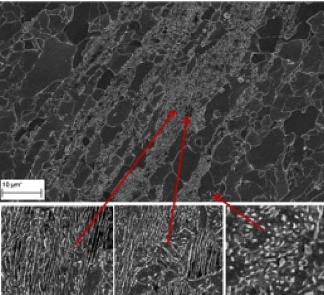   TRIP steel: Microstructure of electropulsed sample.