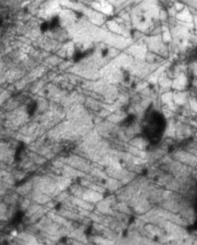   Dislocations revealed with TEM in zircalloy-4