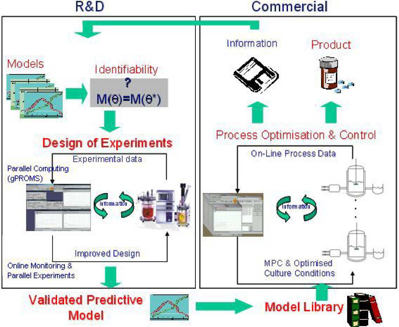 Flow diagram of mammalian cell bioprocessing