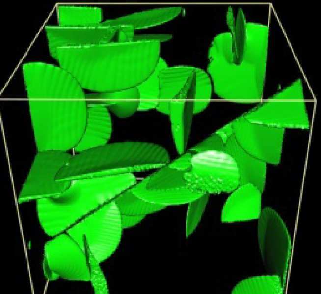   The growth of 50 martensite grains nucleated within two austenite grains at 19000 timesteps using the phase-field model.