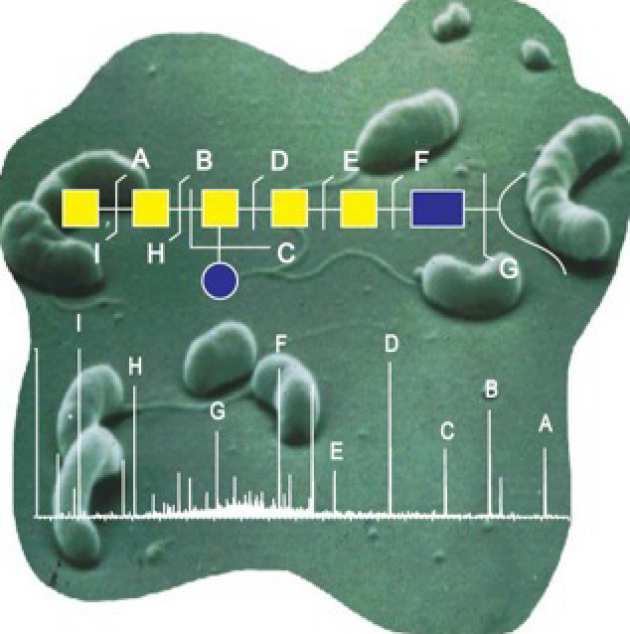 Systems Biology